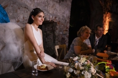 Jovana-y-Josue-wedding_Jovana-y-Josue-wedding-1230